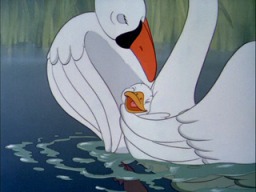 ���P��w�{�͵��ܡA�}�h������p�n�b���j�e�N���ۤv���k�J